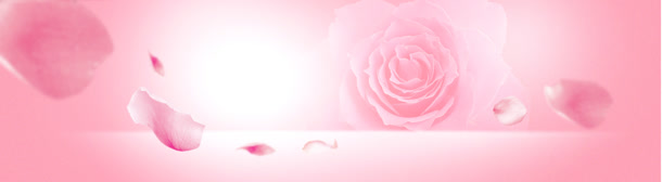粉色玫瑰花开温馨浪漫海报背景