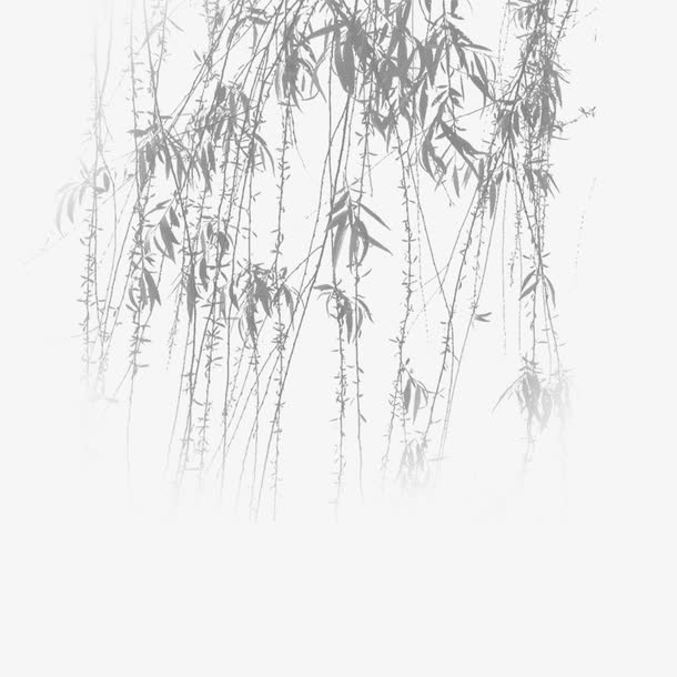 柳枝PNG透明高清图，精美植物装饰元素，设计素材免费下载