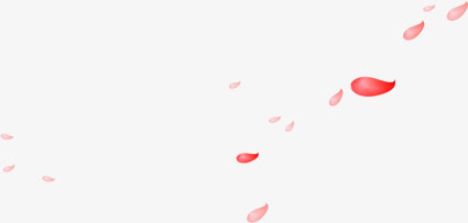 七夕情人节红色散落的花瓣