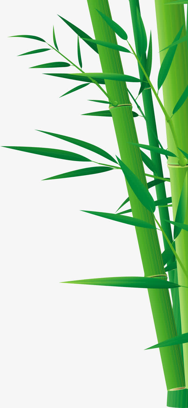 绿色竹子竹叶端午节