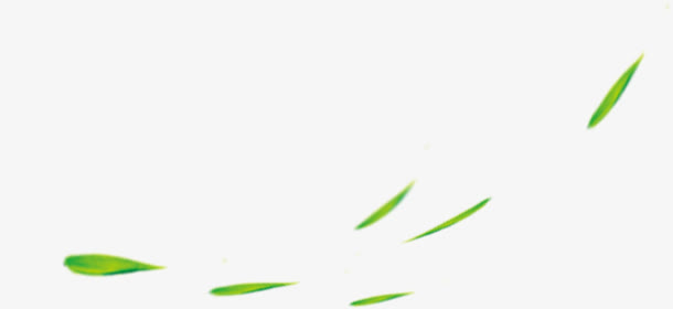 包粽子绿色漂浮叶子