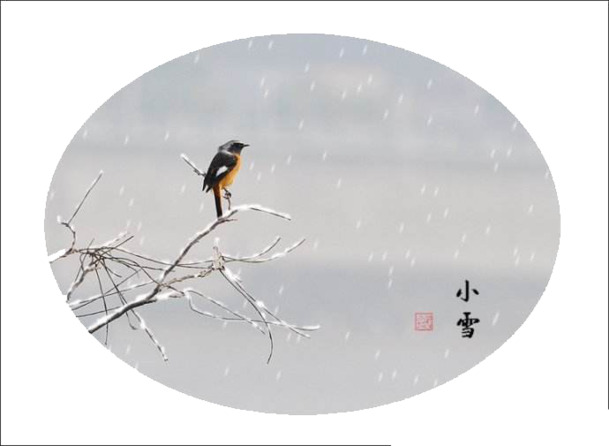 灰色小鸟高清PNG，小雪节气椭圆标志，透明背景摄影风景素材下载