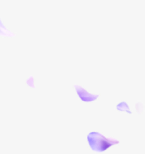 飘扬紫色花瓣