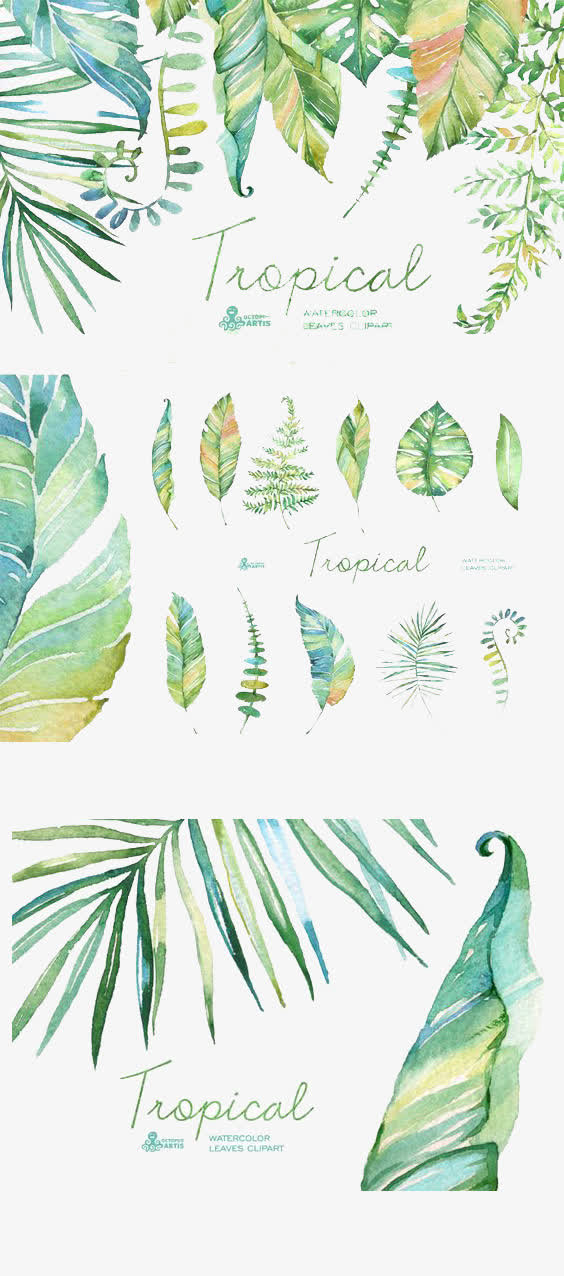 手绘植物PNG透明图片，高清叶子漂浮元素，设计素材免费下载