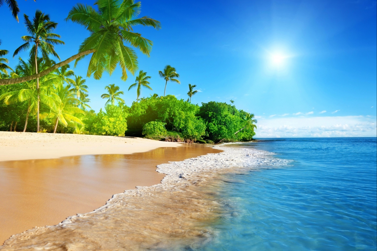 美丽的海边 椰树 蓝色大海风景2520*1680壁纸
