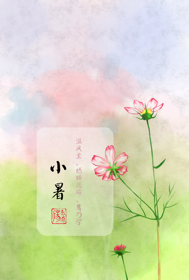 粉折色小花节气小暑