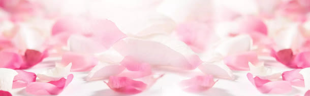 浪漫粉色白色花瓣
