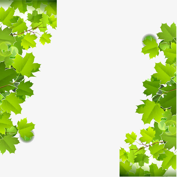 对称的修饰绿色扁平化唯美枫树叶