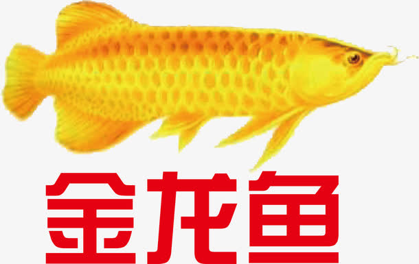 金龙鱼农产品LOGO