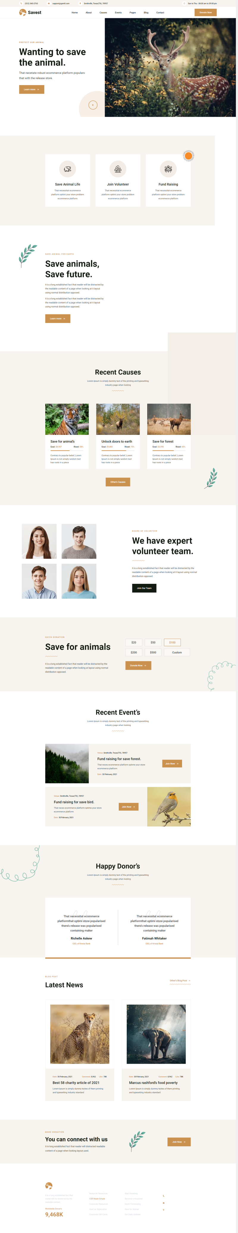 动物保护网站模板，保护动物宣传网站设计