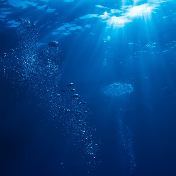 海底世界水下摄影素材
