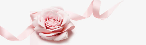 粉色花朵粉色丝带浪漫