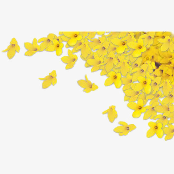 黄色花瓣装饰