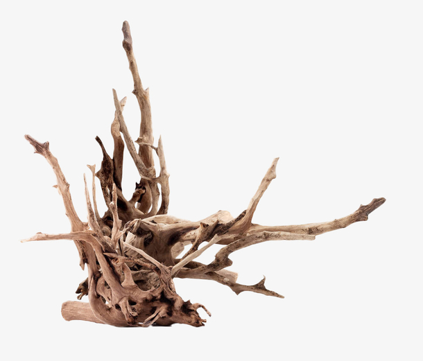 一个褐色枯树根雕作品