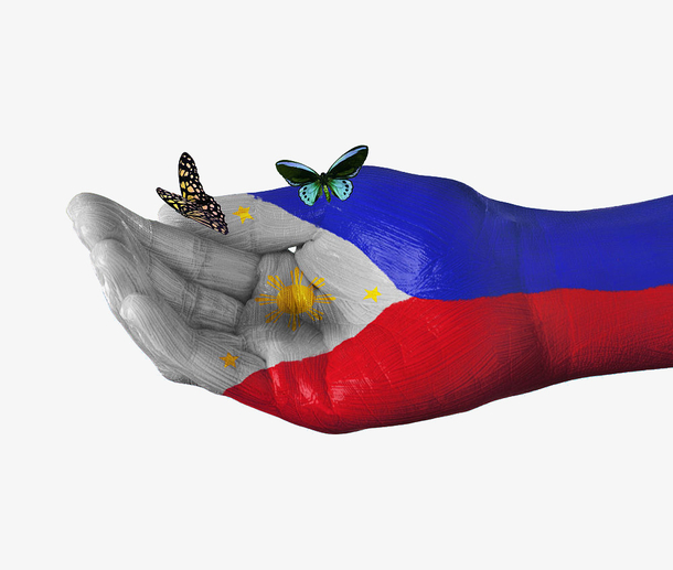 菲律宾国旗手绘蝴蝶图案