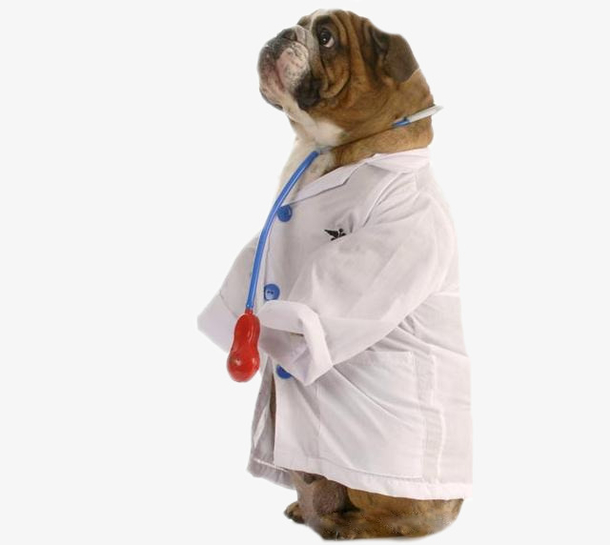 狗狗宠物医生