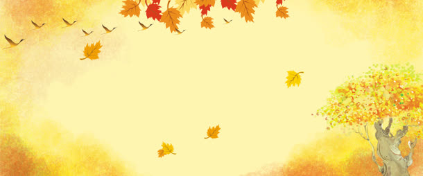 秋天黄色枫叶海报