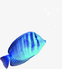 创意蓝色质感海底里的小丑鱼