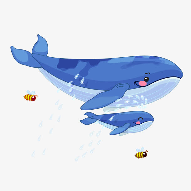 大鲸鱼和小鲸鱼