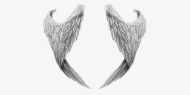 翅膀灰色翅膀天使精灵