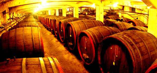 葡萄酒厂酒窖