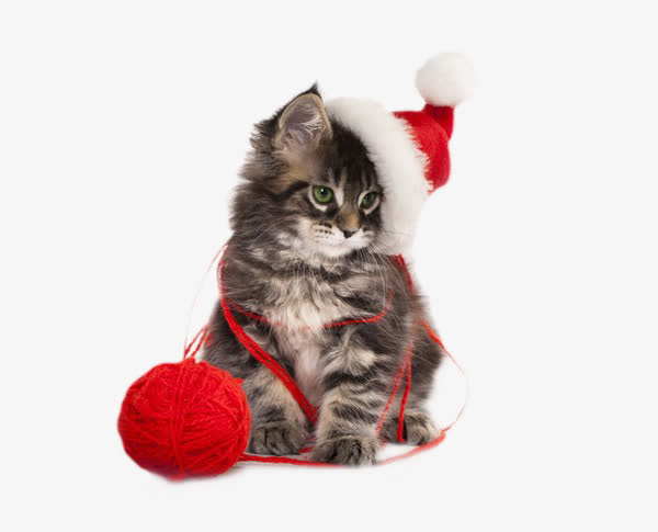 圣诞节可爱猫咪素材
