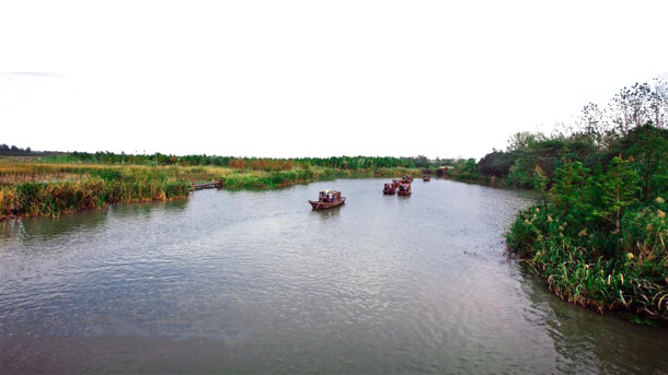 水乡湿地游船美景，高清PNG透明背景图片，设计素材下载