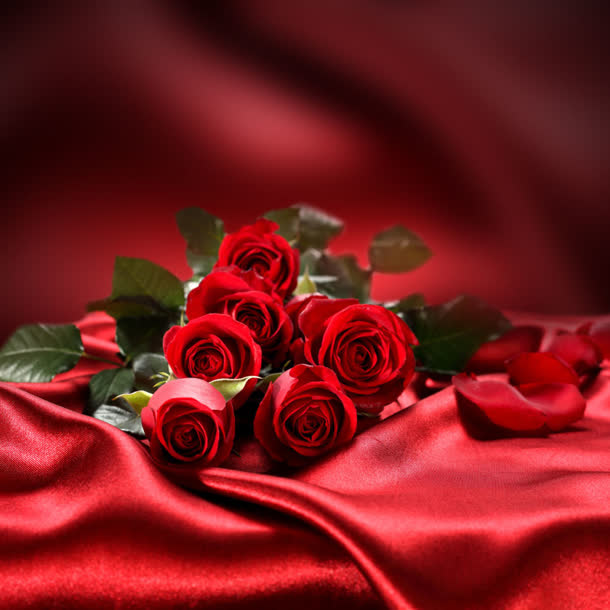 红色玫瑰花浪漫绸带
