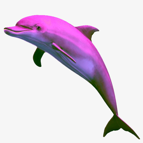 蒸汽波风格粉色海豚