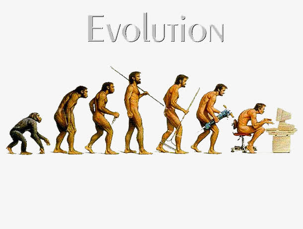人类进化历程图