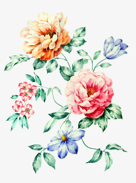 彩色水彩花朵植物装饰设计