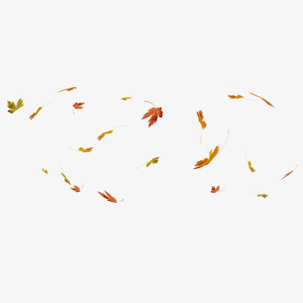 枫叶漂浮免抠图素材