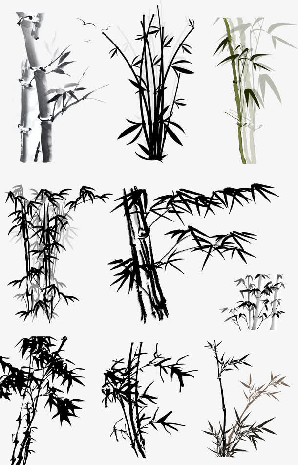涂鸦植物黑色竹子