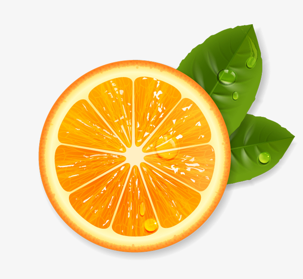 橙子叶子水果香橙