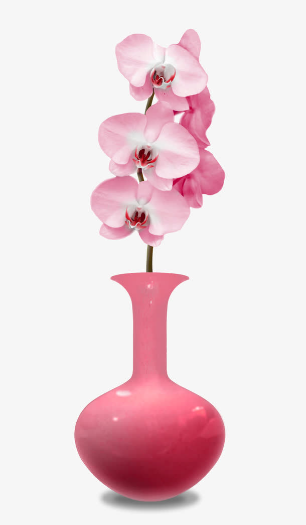 粉色插花花瓶