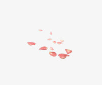 粉色花瓣透明装修
