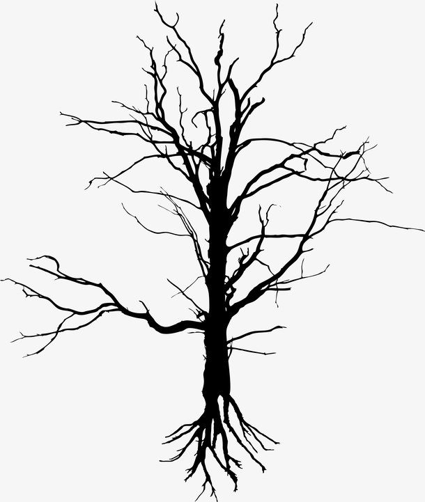 黑色枯树枝