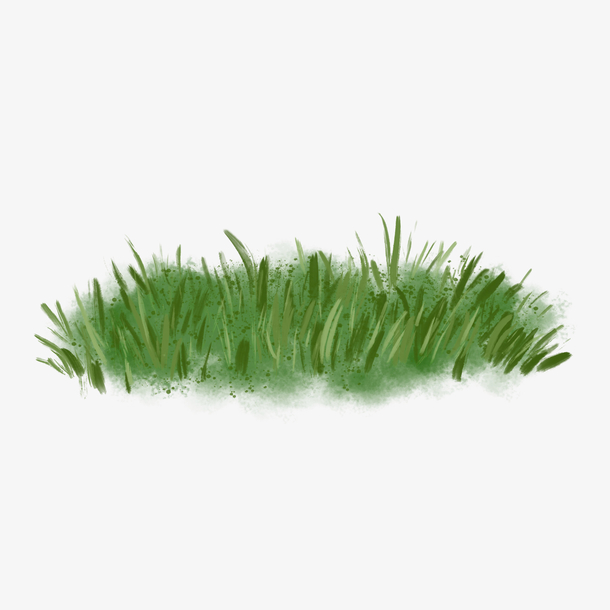 春意盎然的小草从
