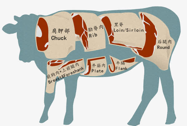 牛肉结构