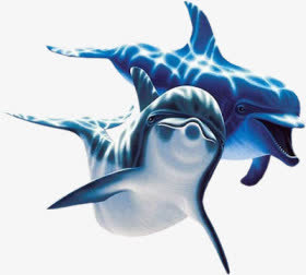 蓝色海豚光影素材