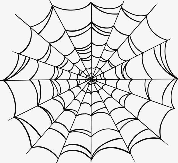 蜘蛛网图案卡通图片 卡通手绘蜘