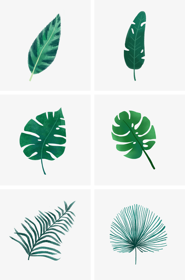 绿色植物树叶插画素材