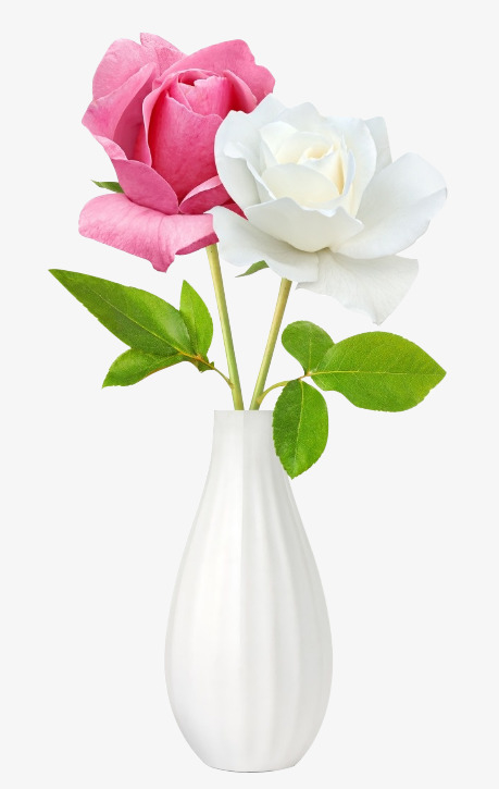 花瓶粉白鲜花