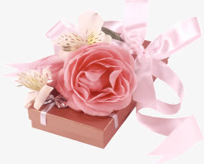 粉色花朵礼盒丝带