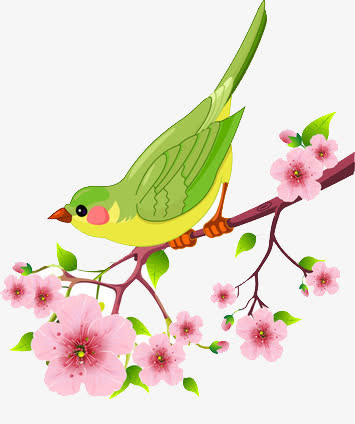 樱花树上的小鸟卡通