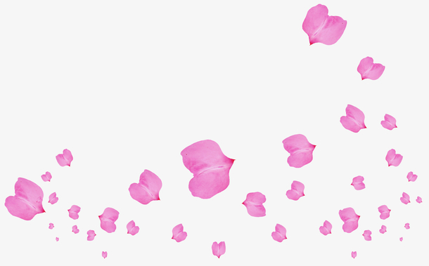 漫天飞舞的心形粉色花瓣
