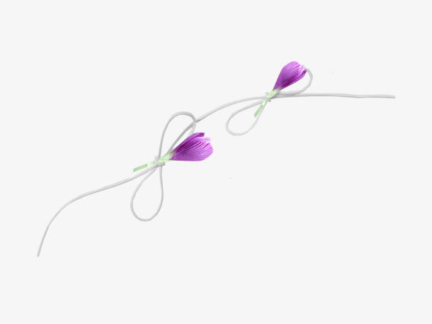 紫花绳索漂浮