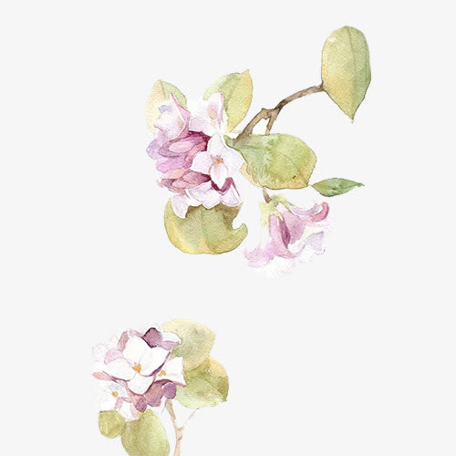 手绘粉色花朵植物素材