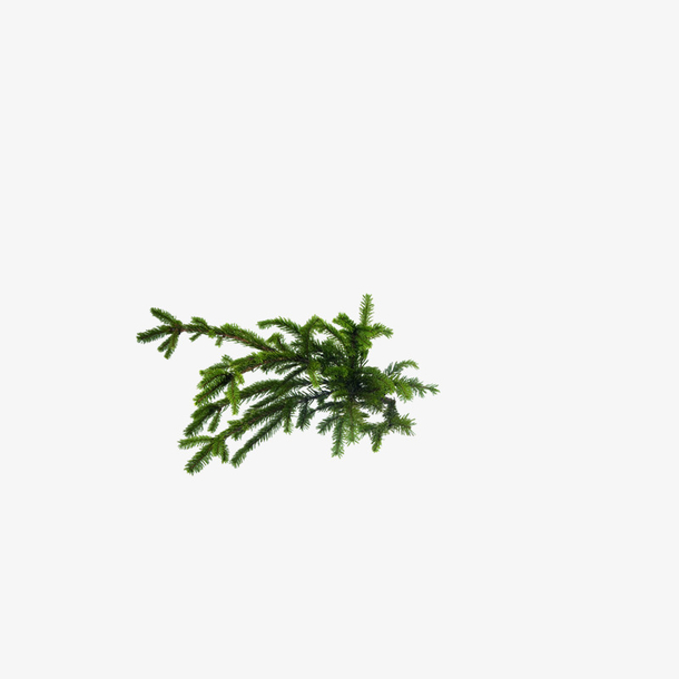 绿植苔藓素材