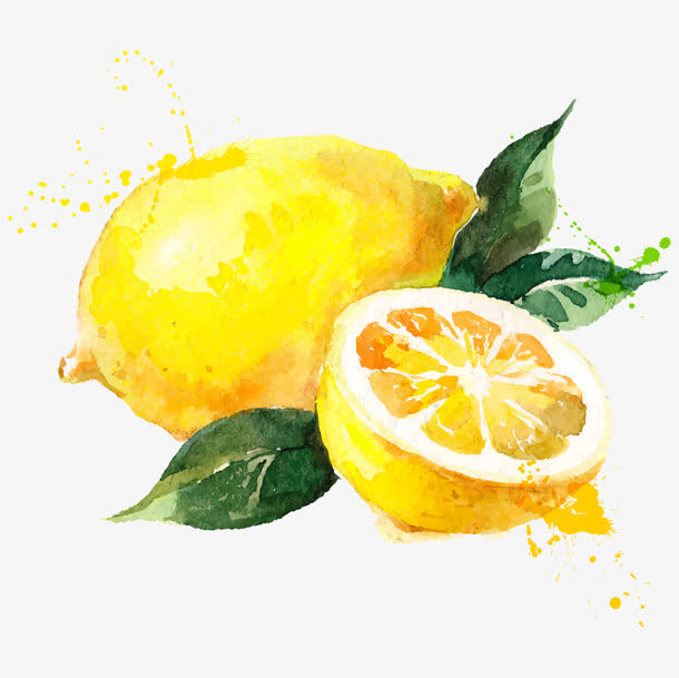 手绘水彩柠檬